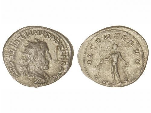 Lot 240