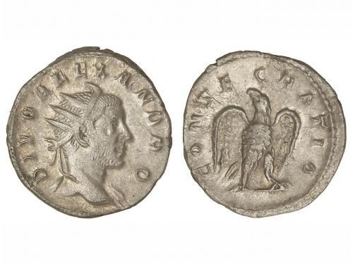 Lot 238