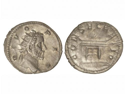 Lot 237