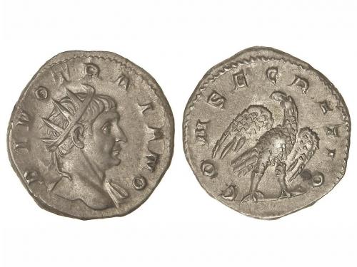Lot 236