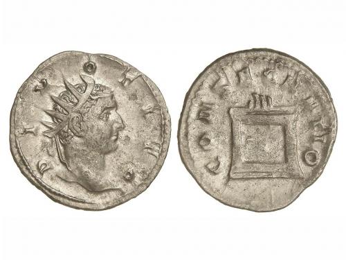 Lot 234