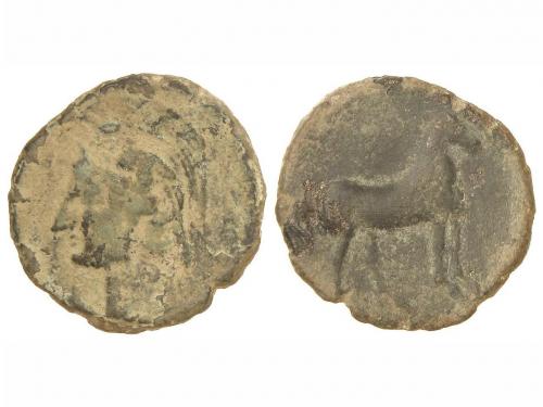 Lot 2231