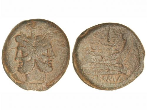 Lot 2556