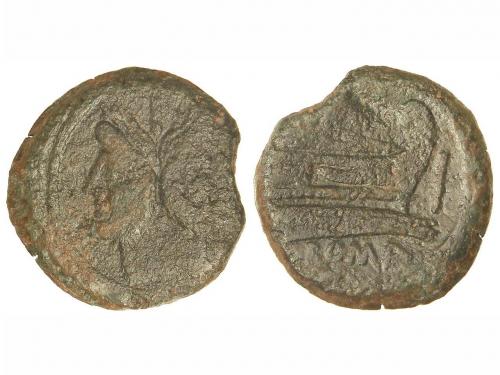 Lot 2557