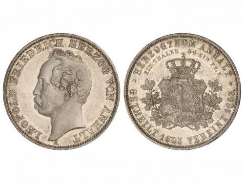Lote 5560