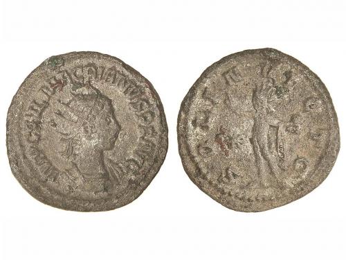 Lot 248