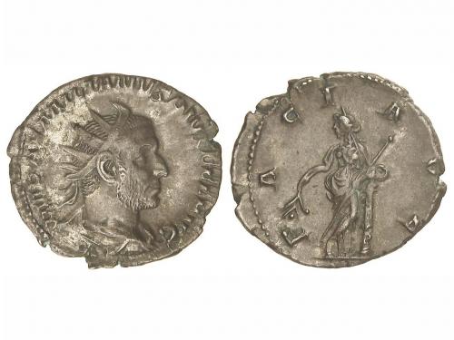 Lot 245