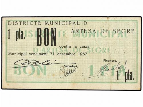 Lote 6008