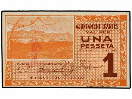 Lote 6003