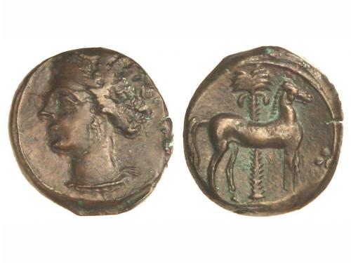 Lot 2138