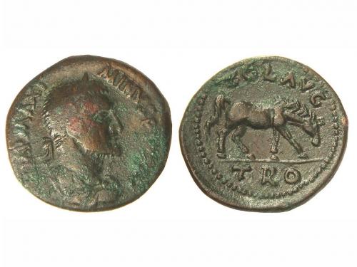 Lot 2517