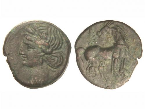 Lot 2137