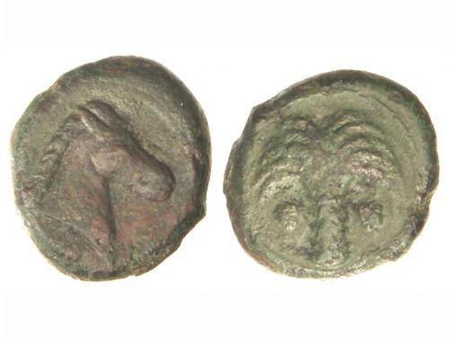 Lot 2142