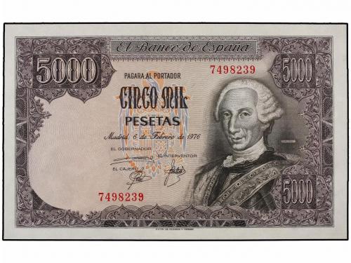 Lot 5320