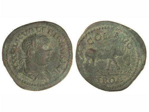 Lot 2552