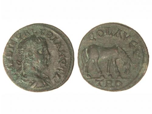 Lot 2551