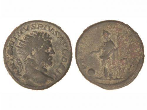 Lot 2505
