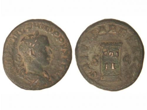 Lot 2541