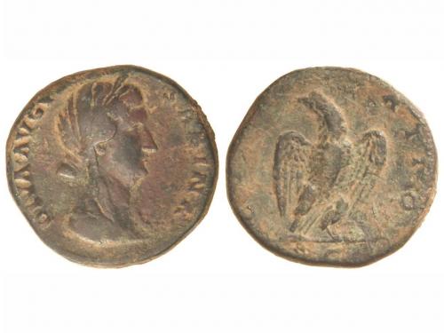 Lot 2445