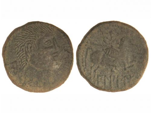 Lot 2117