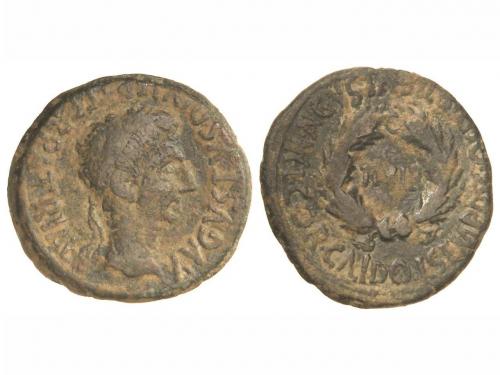 Lot 2118