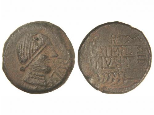 Lot 2270