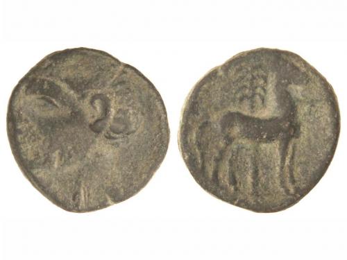 Lot 2145