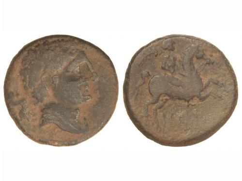 Lot 53