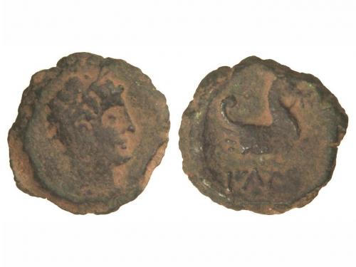 Lot 2229