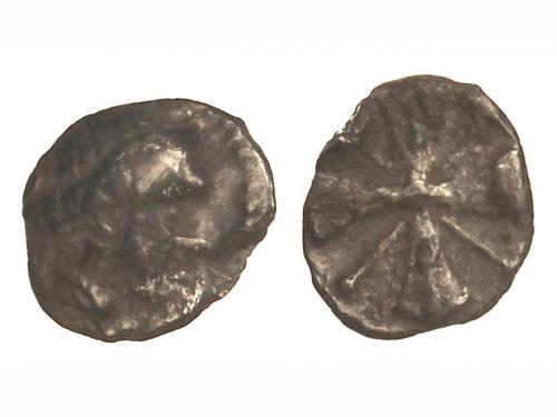 Lote 61
