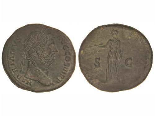 Lote 135