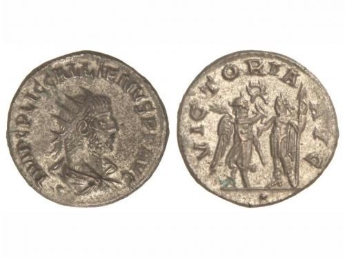 Lot 2561