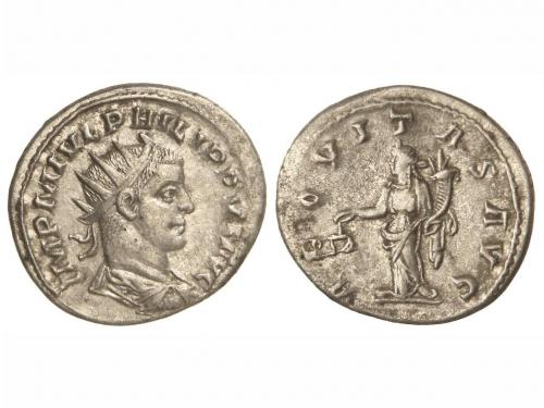 Lot 2537
