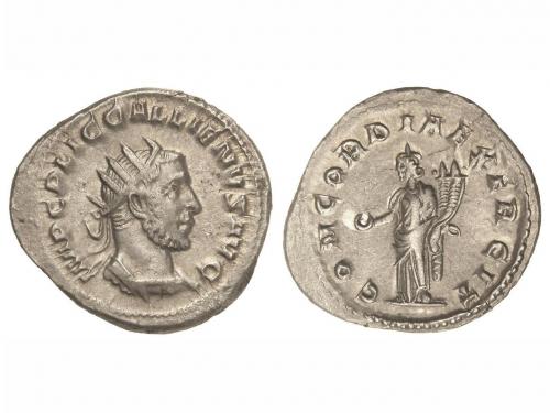 Lot 2558