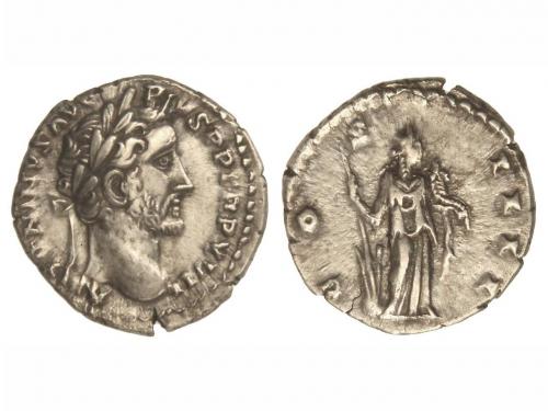 Lot 2459