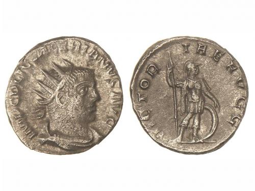Lot 2555