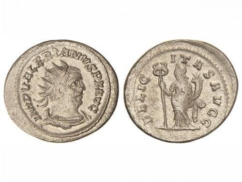 Lot 2553