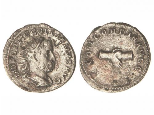 Lot 2557