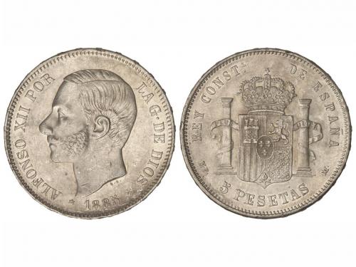 Lote 5209