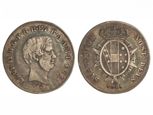 Lot 6528
