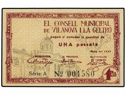Lote 8145
