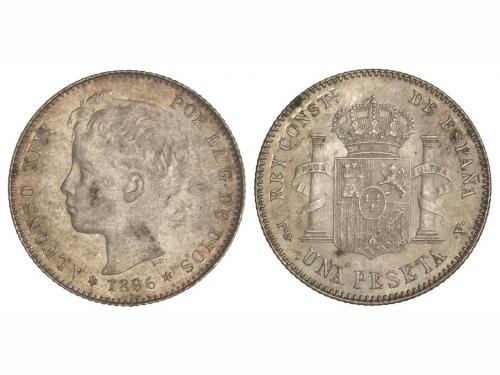 Lote 5253