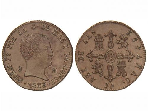 Lot 507