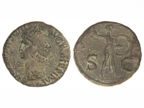 Lot 3631