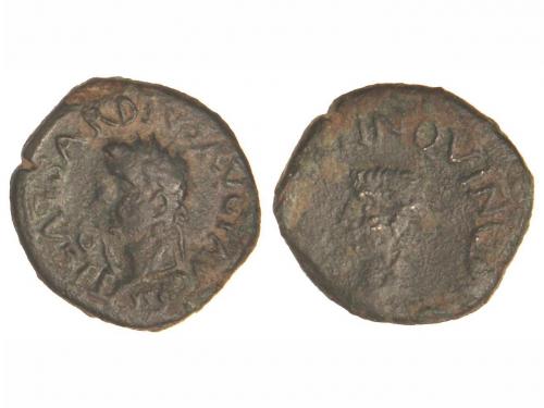 Lote 3167