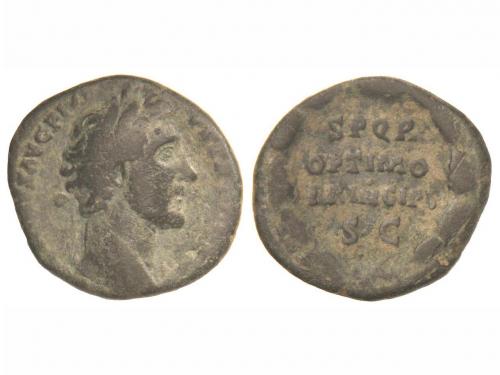 Lot 3683