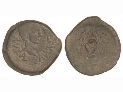 Lote 3146