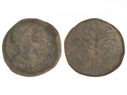 Lote 3108
