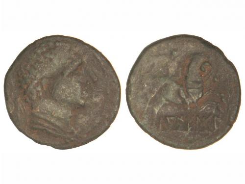 Lot 50