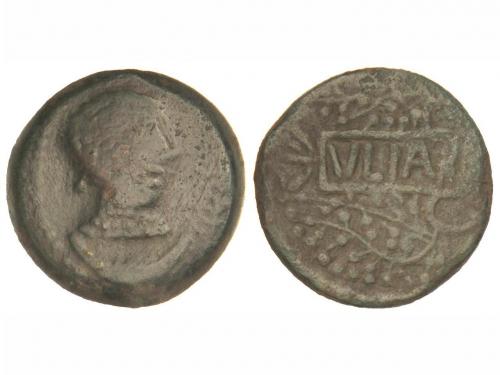 Lot 3504